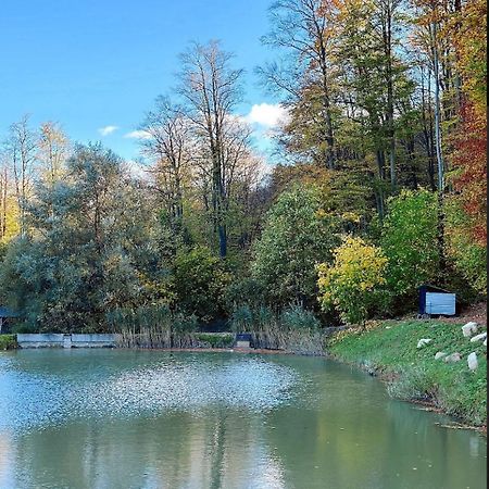 Hotel Orlyne Gnizdo Czerniowce Zewnętrze zdjęcie