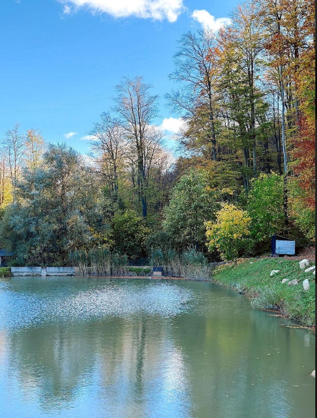 Hotel Orlyne Gnizdo Czerniowce Zewnętrze zdjęcie